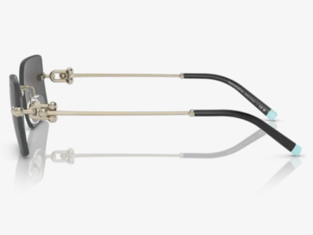 Óculos de Sol Tiffany & Co. TF3088 6021/84