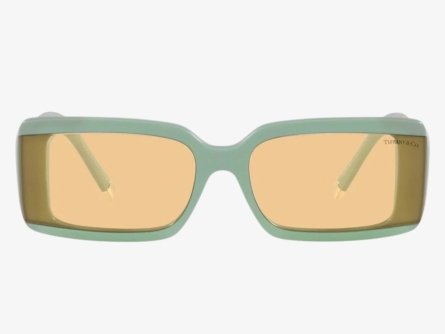 Óculos de Sol Tiffany & Co. TF4197 8365/8
