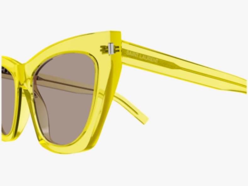 Saint Laurent Kate SL214 020