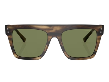 Giorgio Armani AR8177 5409/2A - Imagem 5