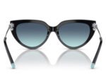 Tiffany & Co. TF4195 80019S