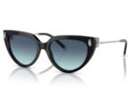 Tiffany & Co. TF4195 80019S