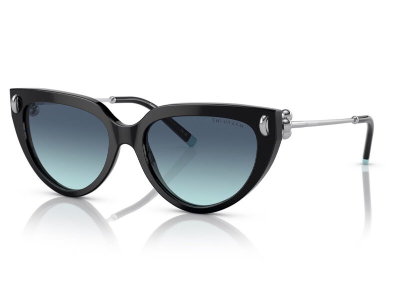 Tiffany & Co. TF4195 80019S