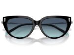 Tiffany & Co. TF4195 80019S