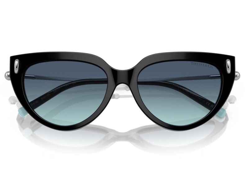 Tiffany & Co. TF4195 80019S