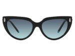 Tiffany & Co. TF4195 80019S