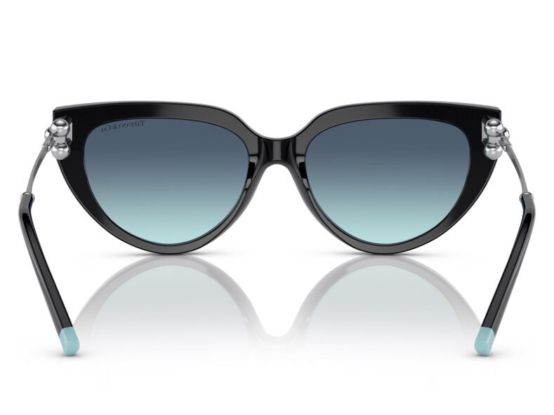 Tiffany & Co. TF4195 80019S