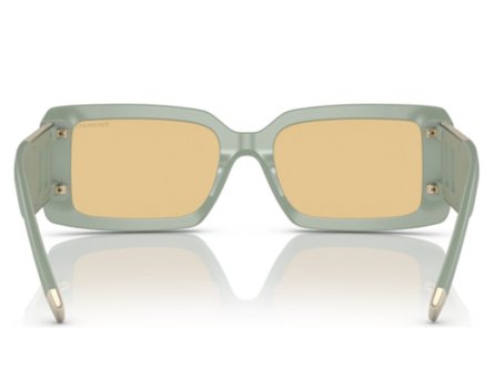 Tiffany & Co. TF4197 83658