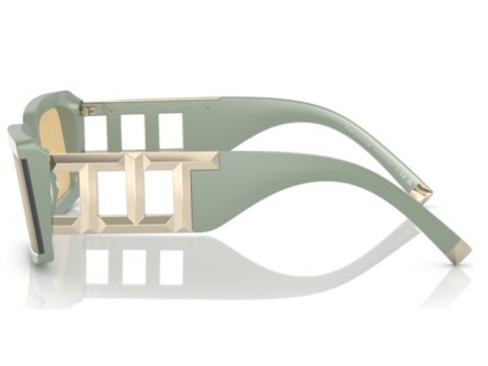 Tiffany & Co. TF4197 83658