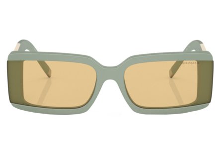 Tiffany & Co. TF4197 83658