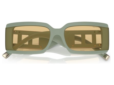 Tiffany & Co. TF4197 83658