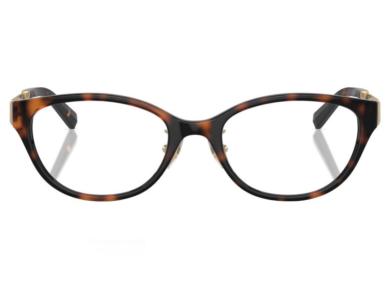 Tiffany & Co. 0TF2252D 8015