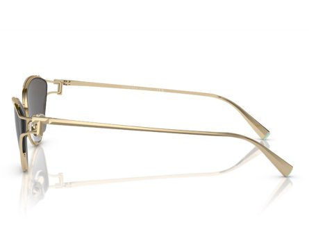 Óculos de Sol Tiffany & Co. 0TF3095 6021S4