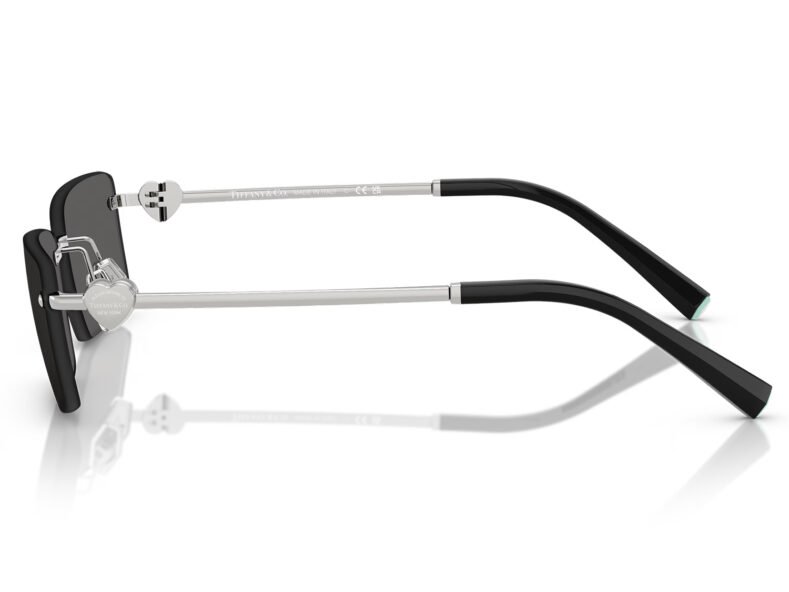 Tiffany & Co. 0TF3108B 6001S4