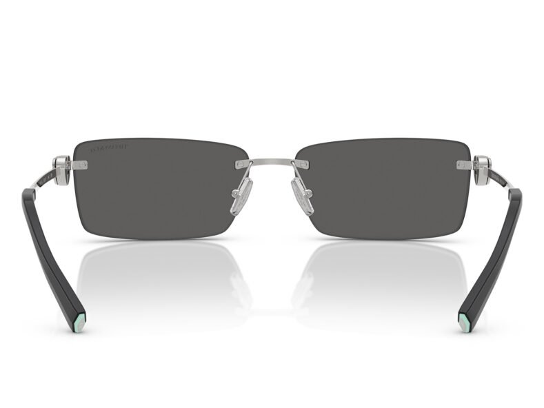 Tiffany & Co. 0TF3108B 6001S4