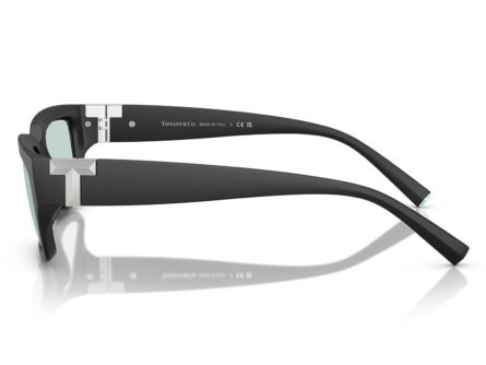 Tiffany & Co. 0TF4226U 8425D9