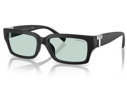 Tiffany & Co. 0TF4226U 8425D9
