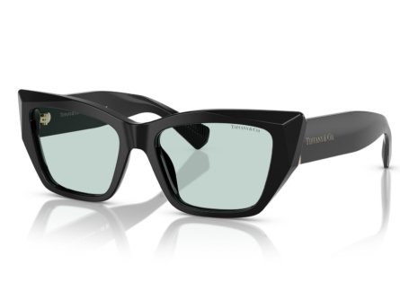 Óculos de Sol Tiffany & Co. 0TF4230 8001D9