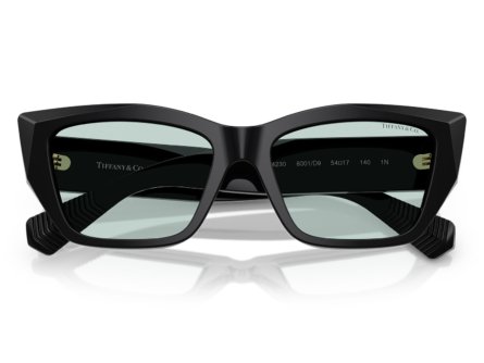 Óculos de Sol Tiffany & Co. 0TF4230 8001D9