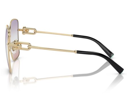 Tiffany & Co. TF3094 6199EL