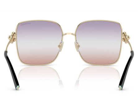 Tiffany & Co. TF3094 6199EL