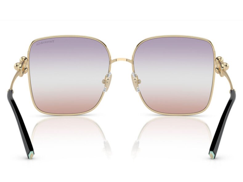 Tiffany & Co. TF3094 6199EL