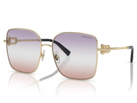 Tiffany & Co. TF3094 6199EL