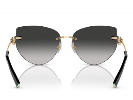 Tiffany & Co. TF3096 60213C