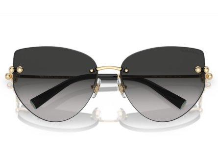 Tiffany & Co. TF3096 60213C