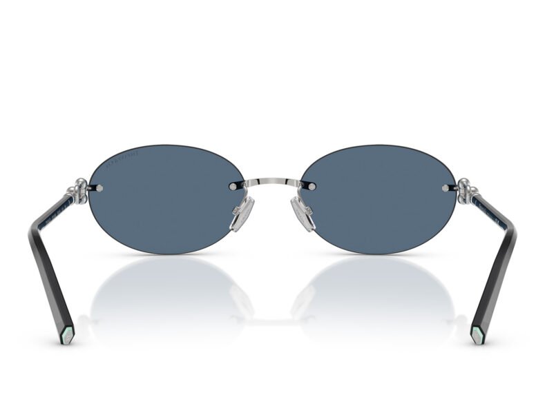 Tiffany & Co. TF3104D 600180