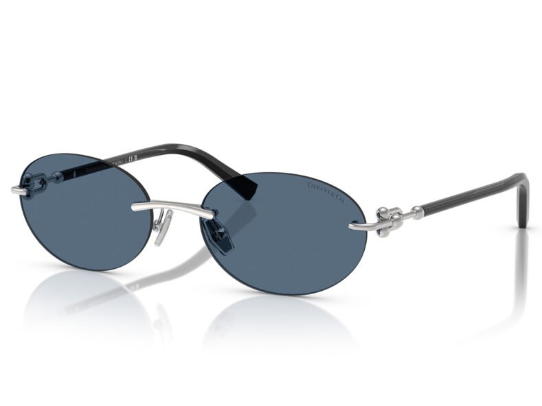 Tiffany & Co. TF3104D 600180