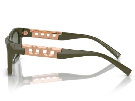 Tiffany & Co. TF4213 839882