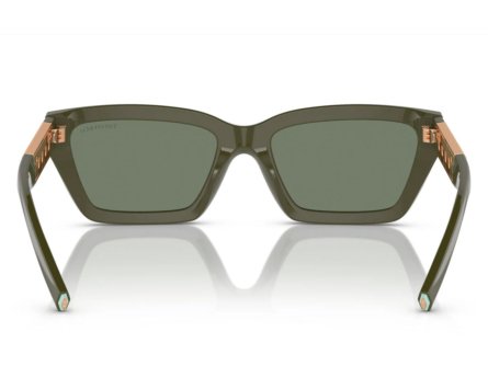 Tiffany & Co. TF4213 839882