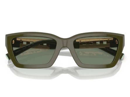 Tiffany & Co. TF4213 839882