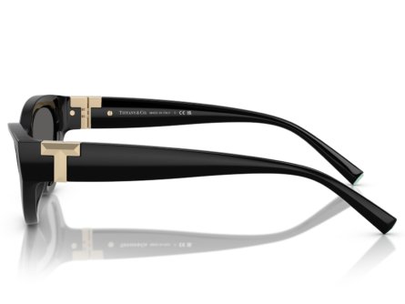 Tiffany & Co. TF4225U 8001S4