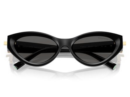 Tiffany & Co. TF4225U 8001S4