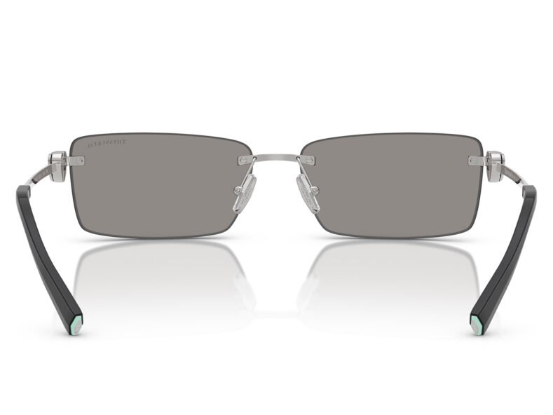 Tiffany & Co. 0TF3108B 61956G