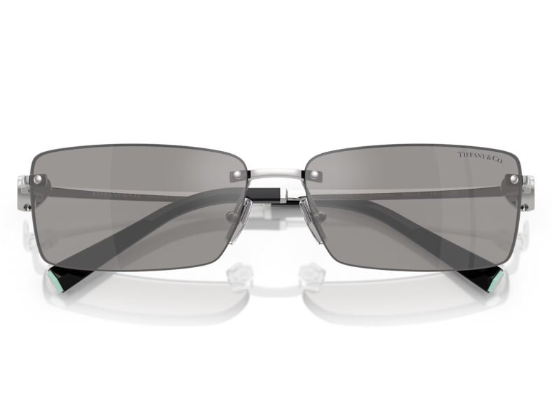 Tiffany & Co. 0TF3108B 61956G