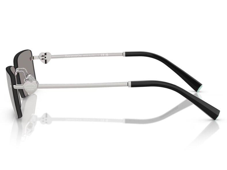 Tiffany & Co. 0TF3108B 61956G
