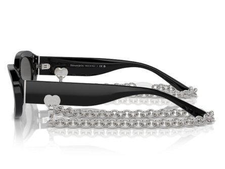 Tiffany & Co. 0TF4221 8001S4