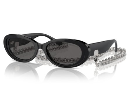 Tiffany & Co. 0TF4221 8001S4