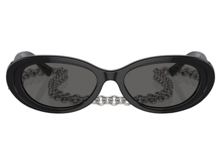 Tiffany & Co. 0TF4221 8001S4