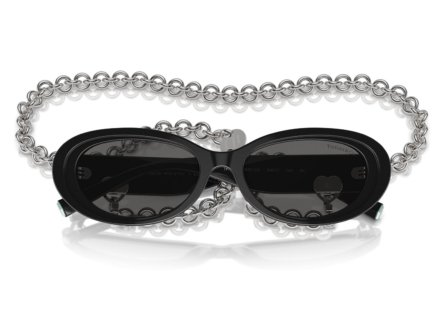 Tiffany & Co. 0TF4221 8001S4