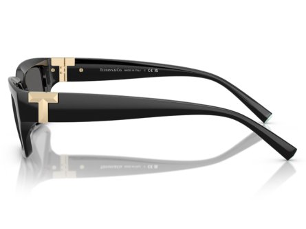 Tiffany & Co. 0TF4226U 8001S4