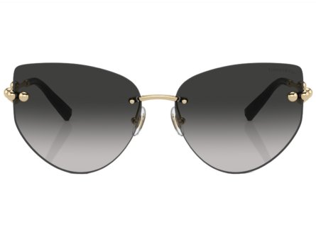 Tiffany & Co. TF3096 60213C