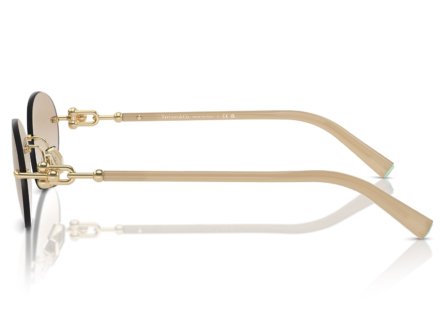 Óculos de Sol Tiffany & Co. 0TF3104D 617811