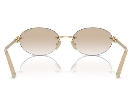 Óculos de Sol Tiffany & Co. 0TF3104D 617811