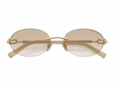 Tiffany & Co. 0TF3104D 617811