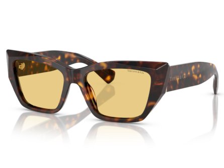Óculos de Sol Tiffany & Co. 0TF4230 8015/7