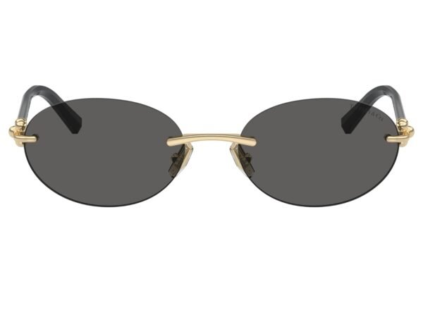 Tiffany & Co. TF3104D 6216S4
